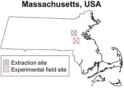 Pyrogenic Carbon Increases Pitch Pine Seedling Growth, Soil Moisture Retention, and Photosynthetic Intrinsic Water Use Efficiency in the Field